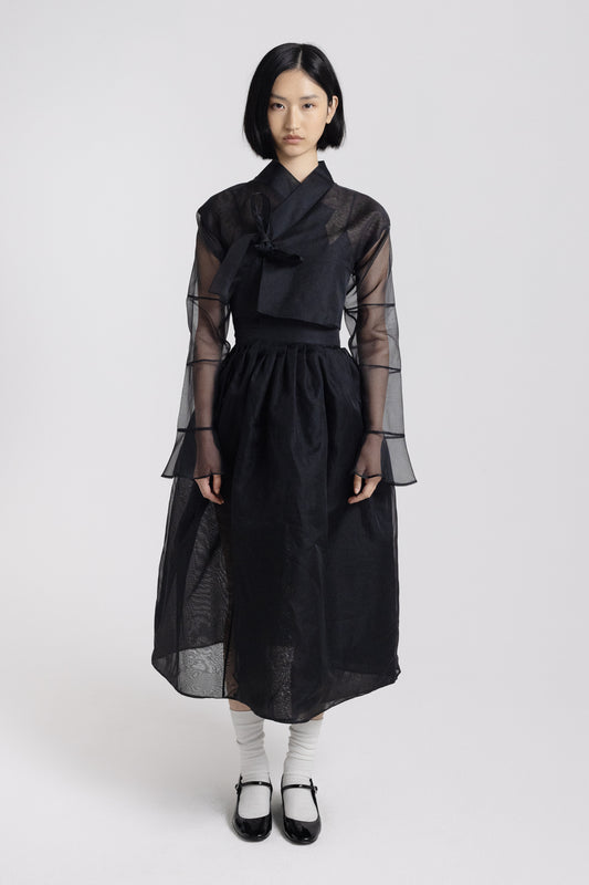 Two-Piece Hanbok Dress