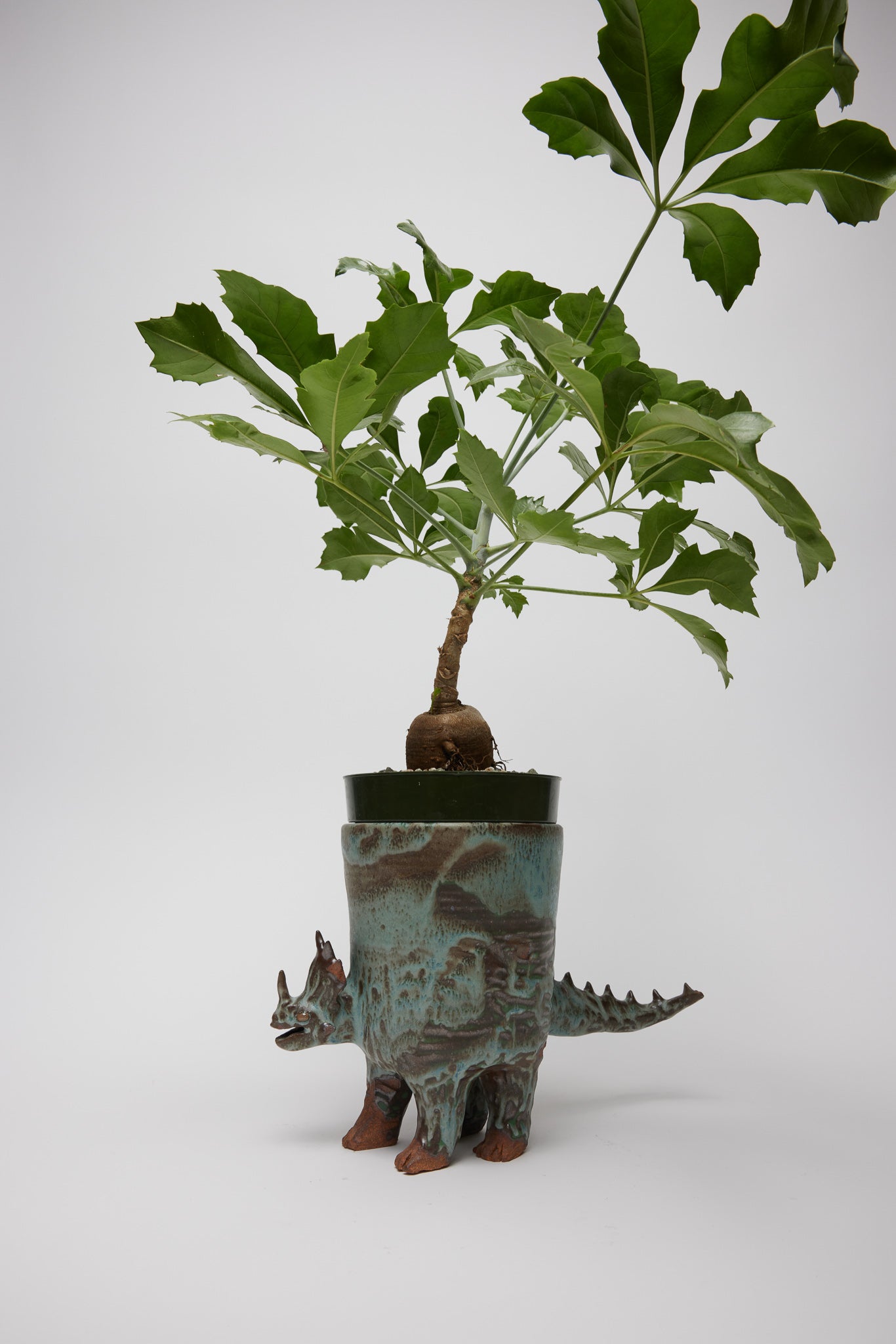 Ceramic Dinosaur by Richard Nam