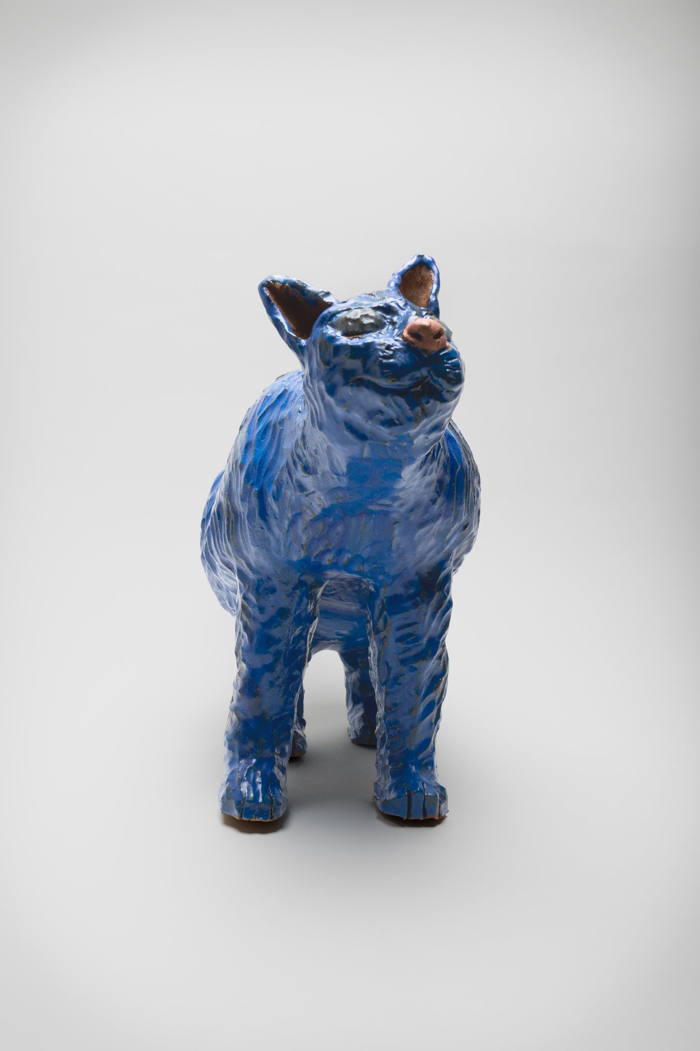 Ceramic Kitties by Richard Nam