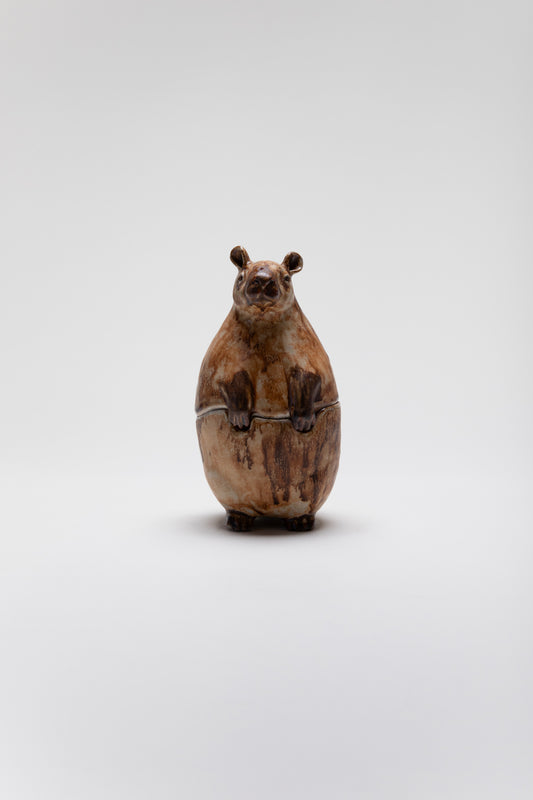 Capybara Storage by Katherine Clark