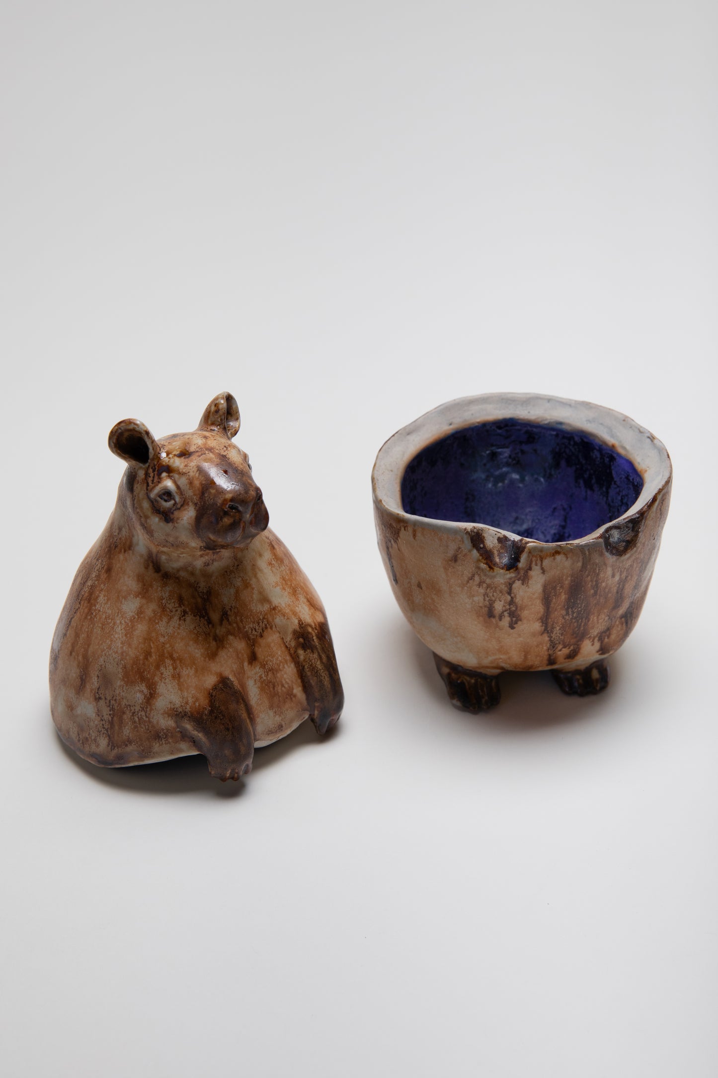Capybara Storage by Katherine Clark