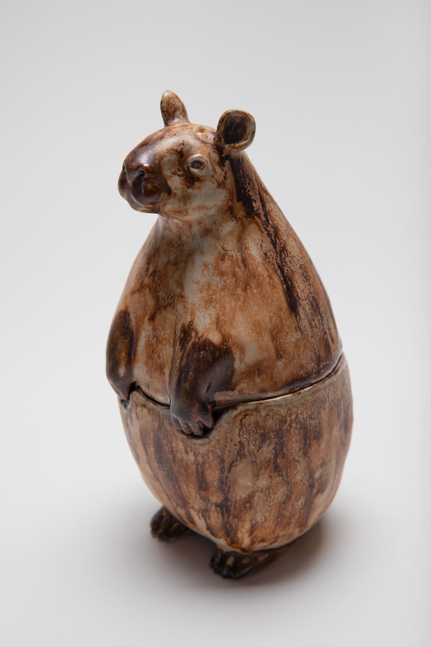 Capybara Storage by Katherine Clark